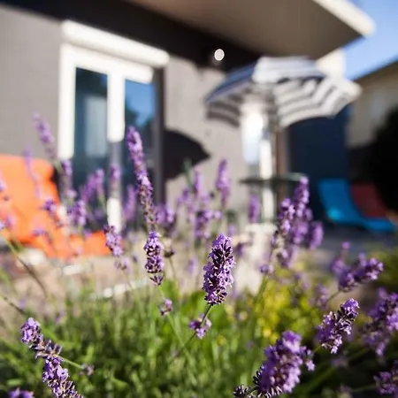 In - Balaton 19735 Apartament *